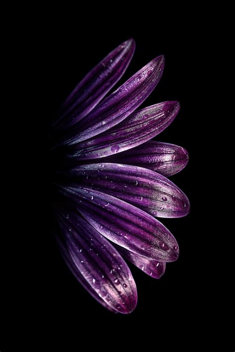 30,000+ Amoled Wallpaper Pictures .